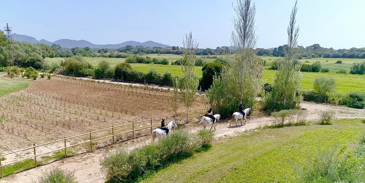 Finca Agroturismo Son Menut Феланіч Екстер'єр фото